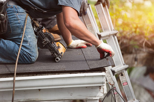 Best Roof Gutter Cleaning  in Pearland, TX